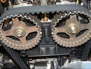 Timing Belt